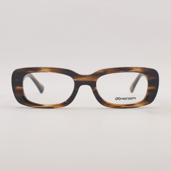 Rex C2 - LALI x HRDM 000