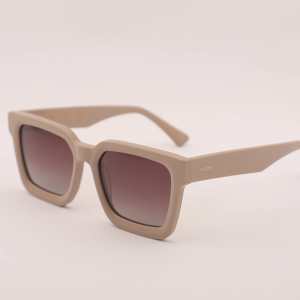 VIENAC2-T21